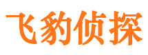 安庆找人公司